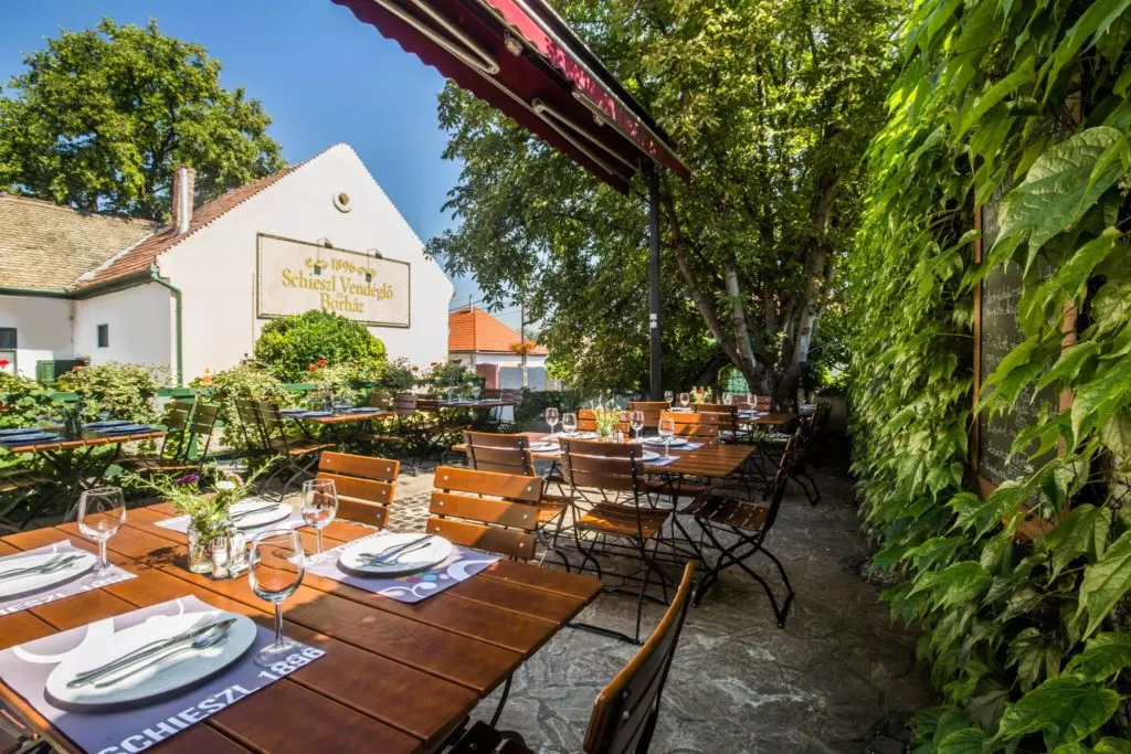 Mesés panorámák és kitűnő borok - 8 szuper borterasz