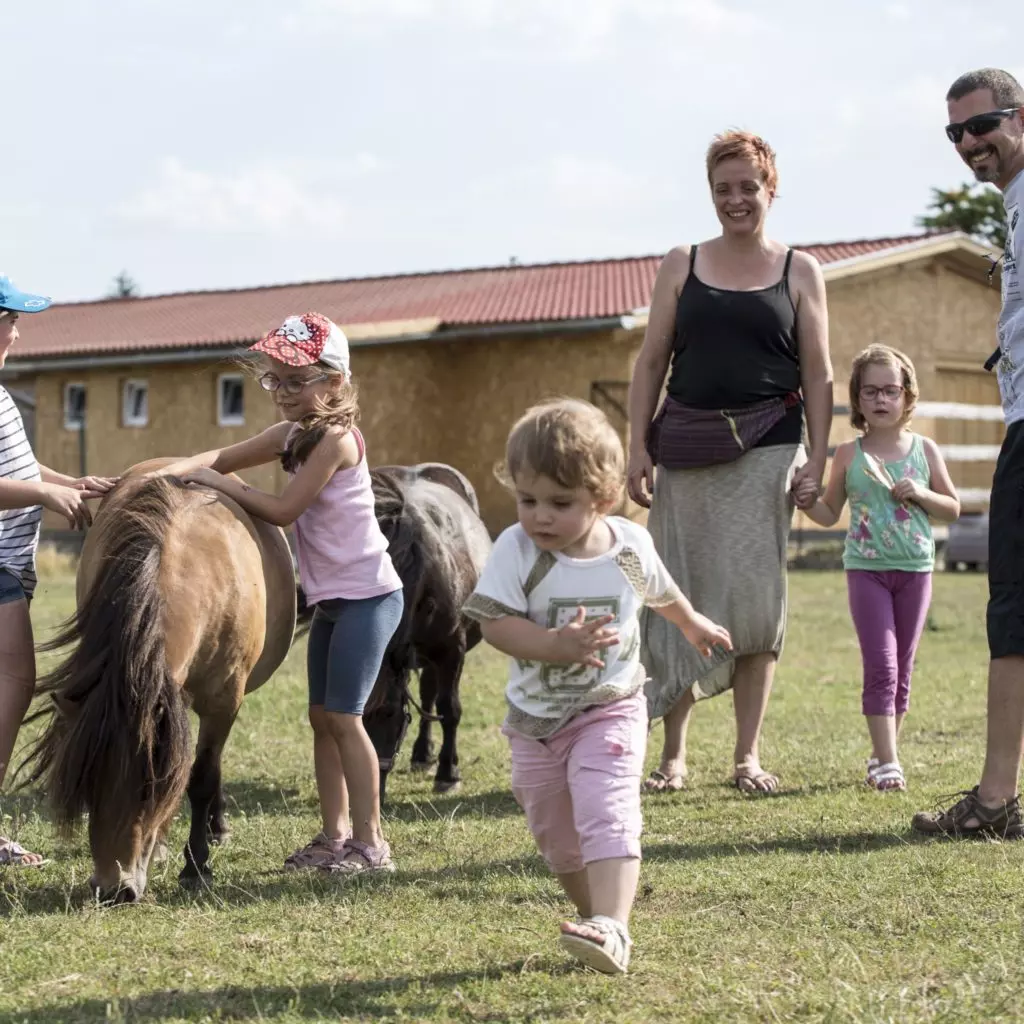 Ezer élménnyel vár a Tisza-tó: Kihagyhatatlan helyek és szállások az egész család