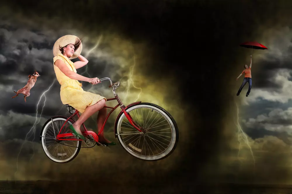 Header image