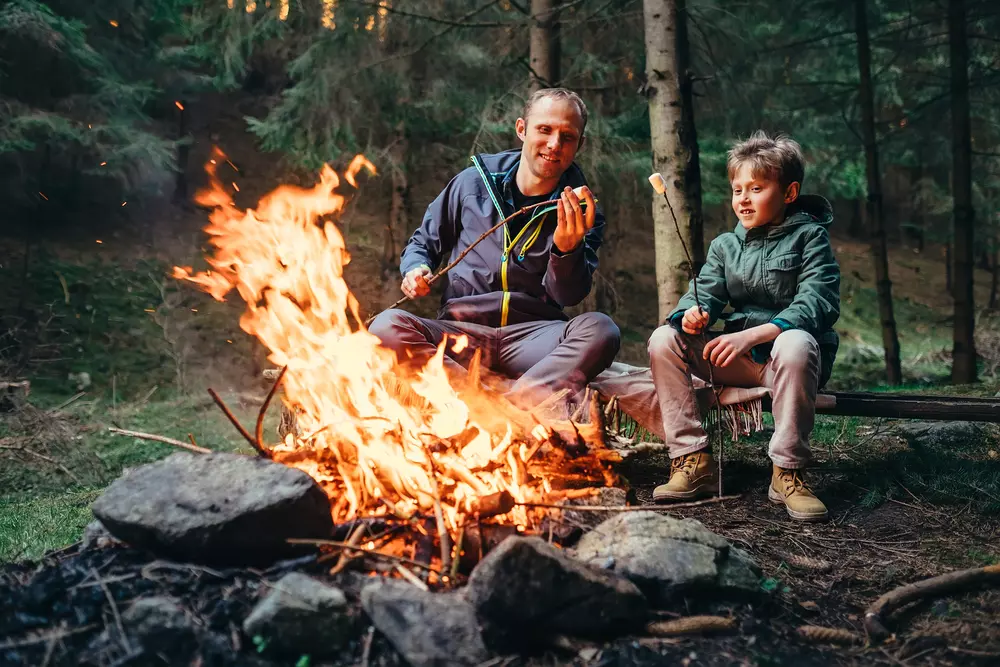 Frissítő erdei szállás kavalkád a nyári hőségben – Top 10 szállástipp!