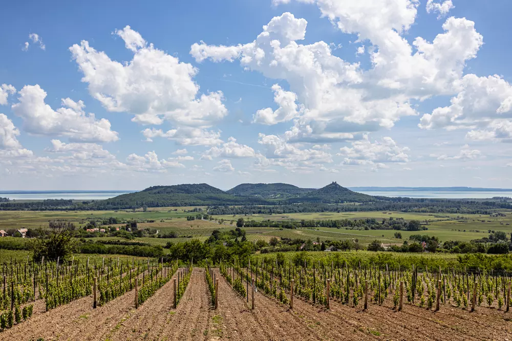 Szent György – hegy, a Balaton panorámája
