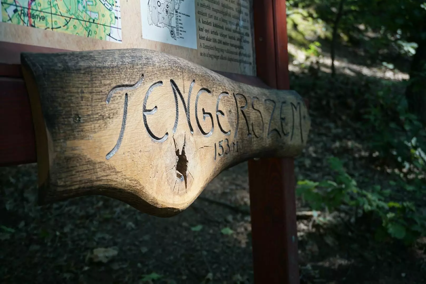 Nyári programtipp: drótkötélen a Megyer-hegyi tengerszem belsejében