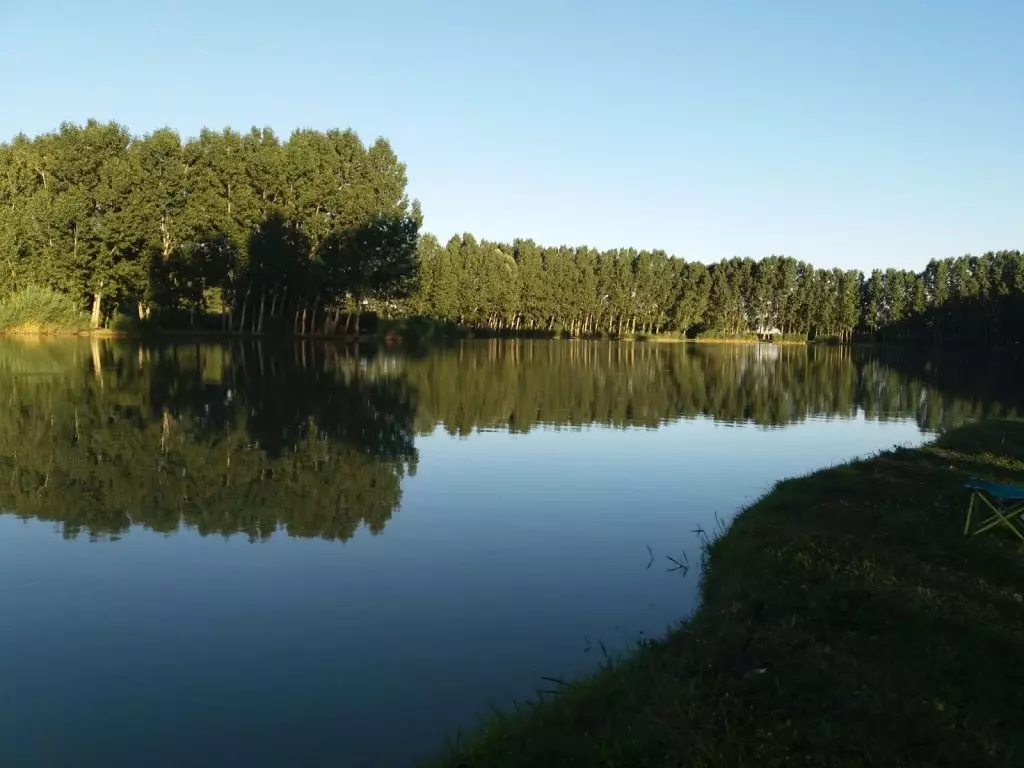 Tavirózsás csendélet a Kiskunság szívében – Téged is vár a Kolon-tó!