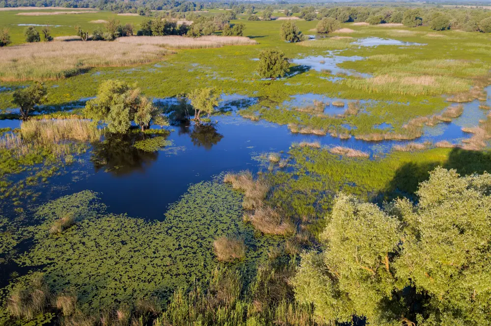 Európa Amazonasa, a Mura – Dráva - Duna UNESCO Bioszféra Rezervátum