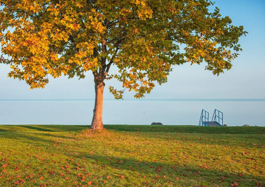 Vénasszonyok nyara a magyar tengeren – 12 ok, miért szuper hely a Balaton ősszel