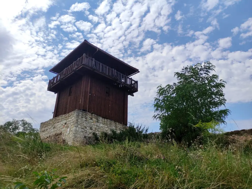 Barangolás gyerekkel a solymári Paprikás-patak mentén található festői Jegenye-völgyben