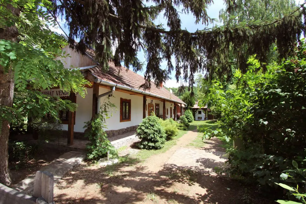 10 erdei állatbarát szállás – Ne hagyd, hogy Buksi otthon unatkozzon!