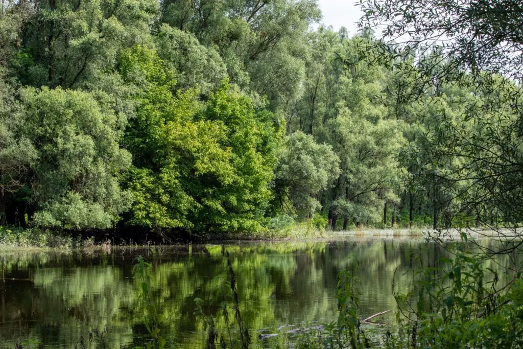 Duna vs. Tisza – Őszi program- és szállásajánló, ha folyóparton pihennél