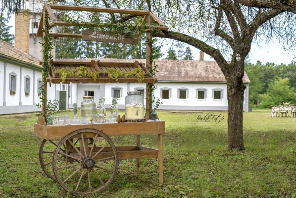 10 erdei állatbarát szállás – Ne hagyd, hogy Buksi otthon unatkozzon!