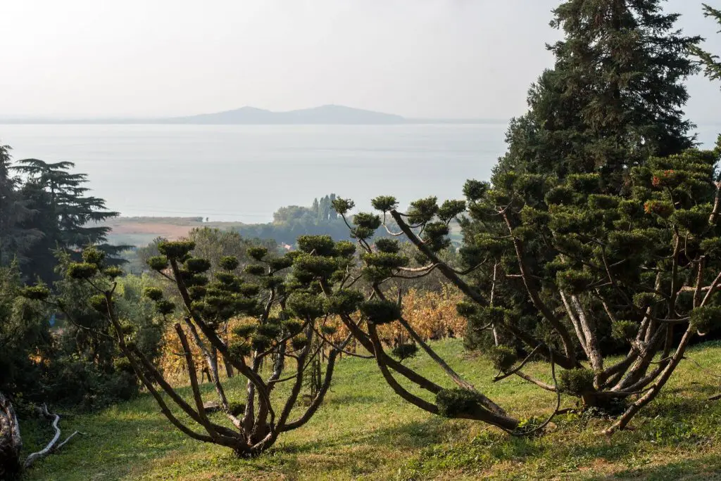 5 mesés arborétum - Búcsúztasd az őszt a legszebb kertekben!