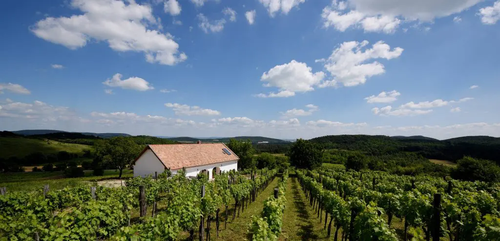 Éljen a privát szféra! – Bájos kis házak szomszédok nélkül, a Balaton közelében