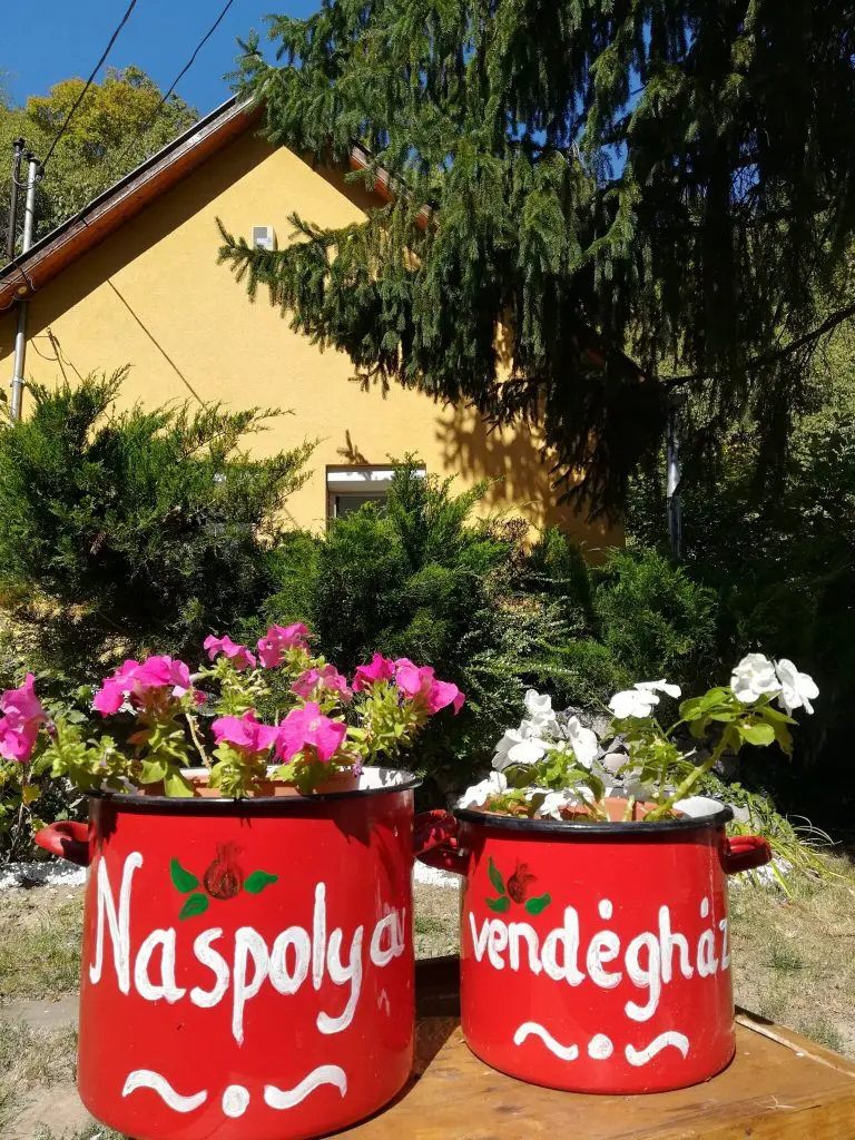 Szurdoktúra Budapest közelében – Irány a Rám - szakadék és a dömösi körtúra!