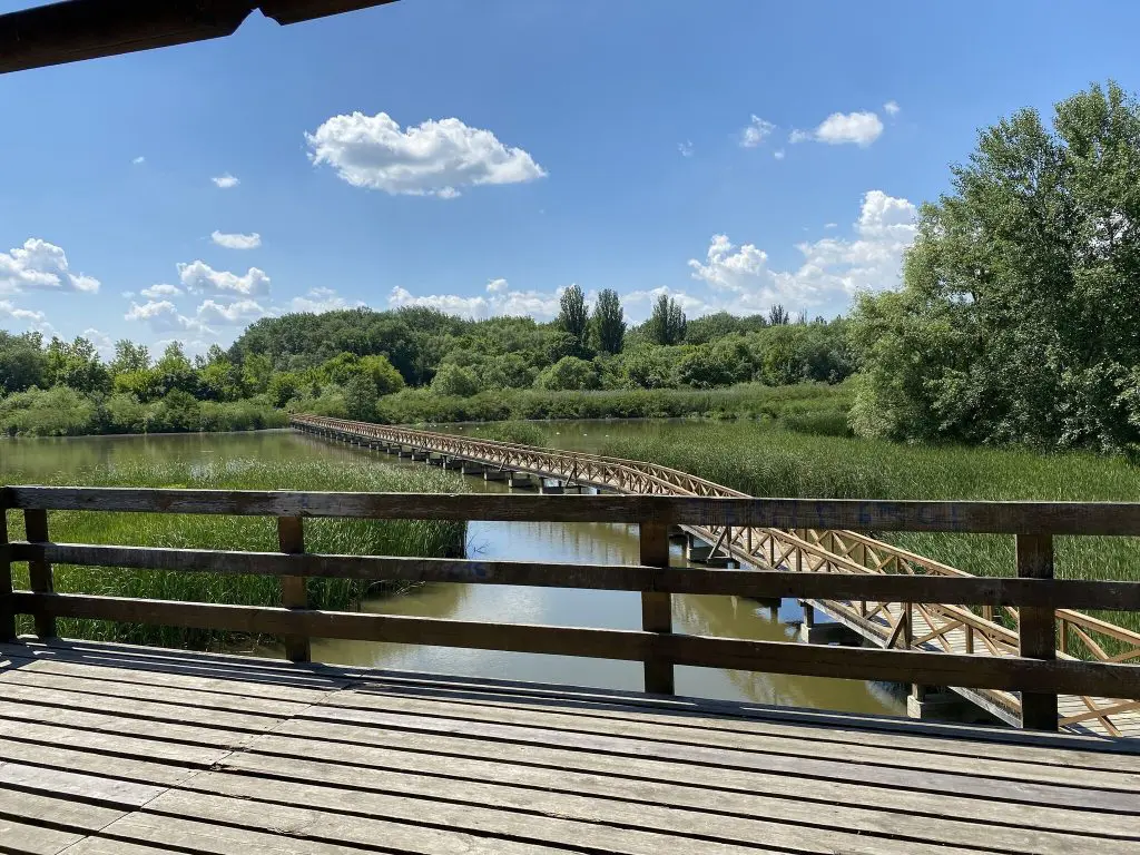 Barangolj a Tisza felett! - A Kis-Tisza Ökocentrum és a vadregényes Kenyérgyári-holtág