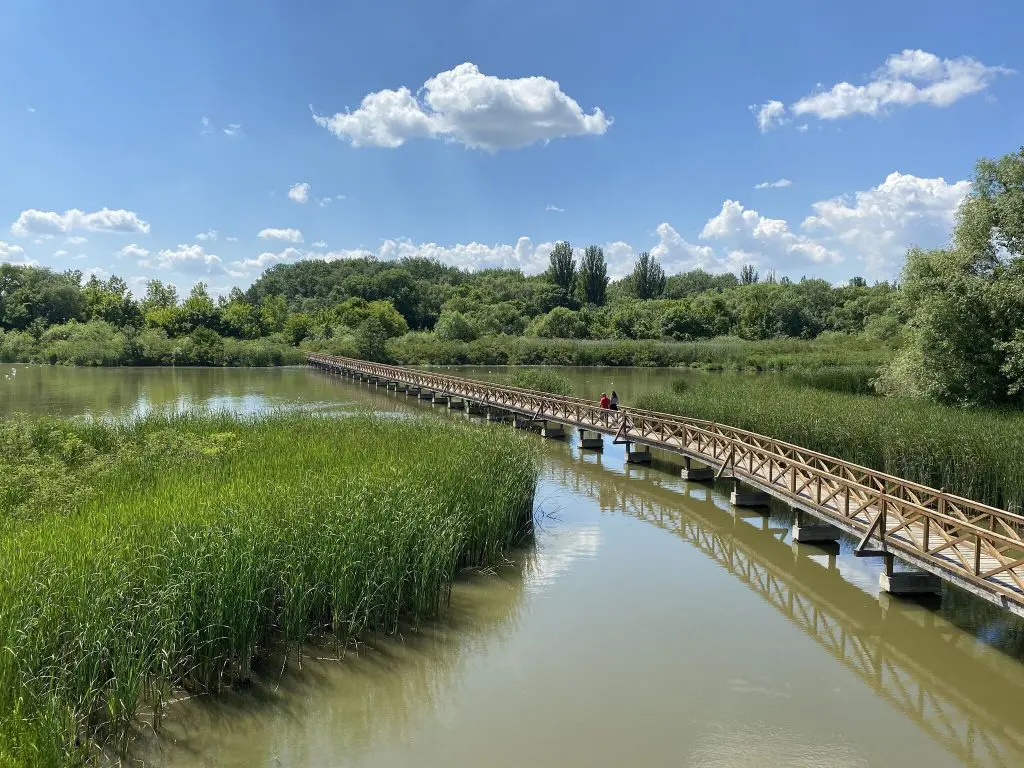 Barangolj a Tisza felett! - A Kis-Tisza Ökocentrum és a vadregényes Kenyérgyári-holtág