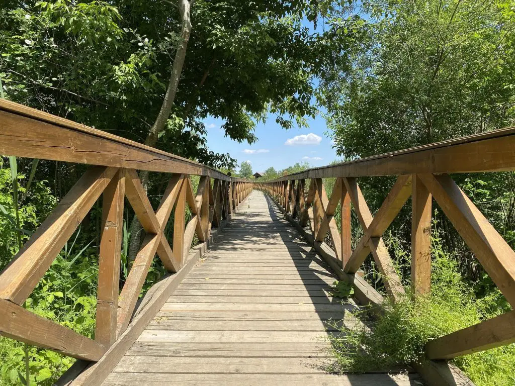 Barangolj a Tisza felett! - A Kis-Tisza Ökocentrum és a vadregényes Kenyérgyári-holtág