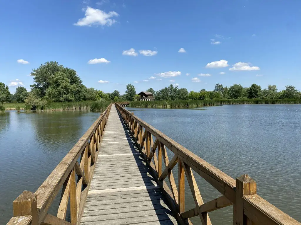 Barangolj a Tisza felett! - A Kis-Tisza Ökocentrum és a vadregényes Kenyérgyári-holtág