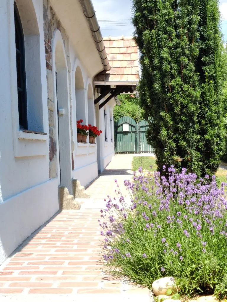 Top 5 pékség a Balaton partján, ahol csodás illat és a legízletesebb kávé vár