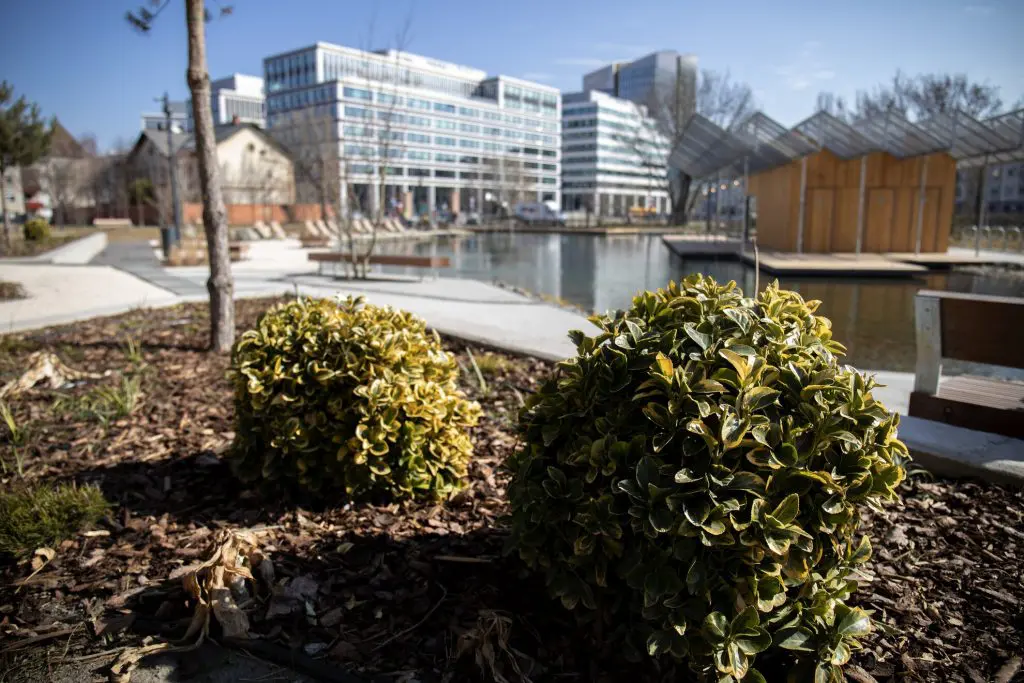 Zöld oázis és élmények Budapest szívében: megnyitotta kapuit a Vizafogó park