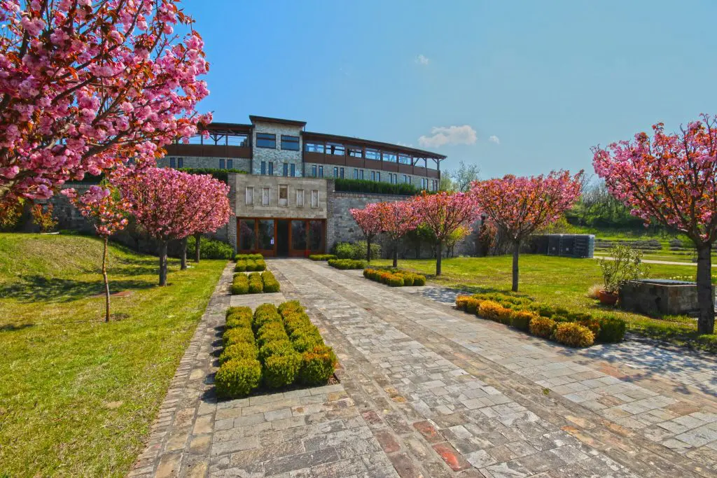 TOP borászatok a Balatonnál
