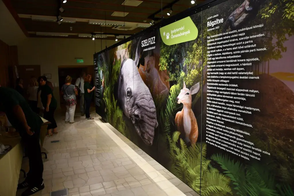 Ősvíziló, cápafogak, megkövesedett lábnyomok – Így fest a magyar pompei Palócföldön