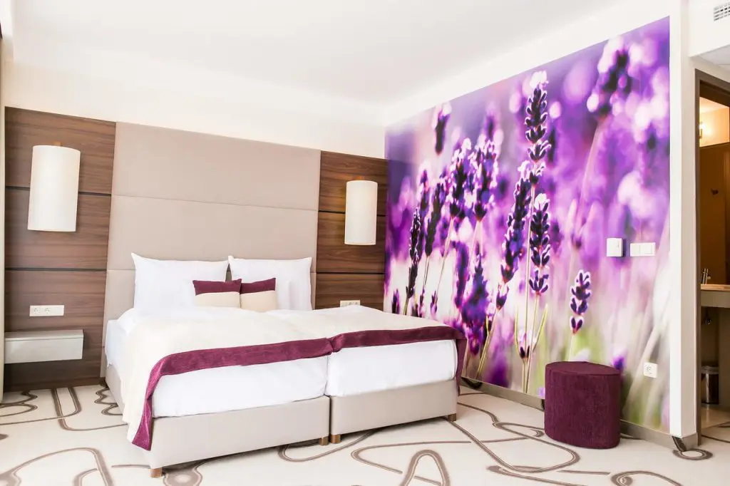 Utazás az érzékek útján, a Mecsek völgyében: Ambient Hotel & AromaSPA****