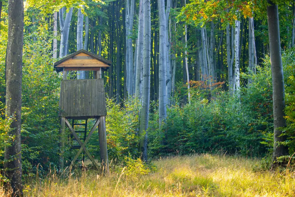 Vadregényes vidék és élménykavalkád – 45 éves lett a Bükki Nemzeti Park!