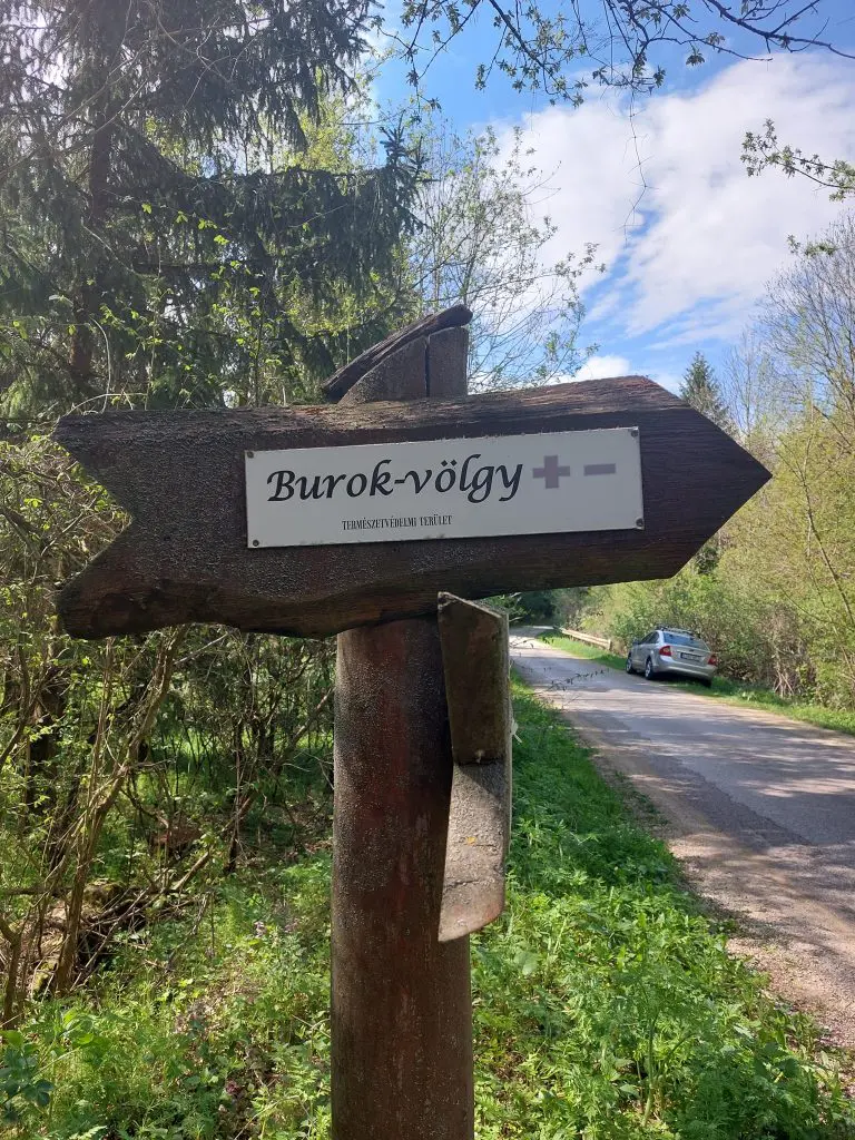 Burok-völgy – Kalandos dzsungeltúra a Keleti-Bakonyban