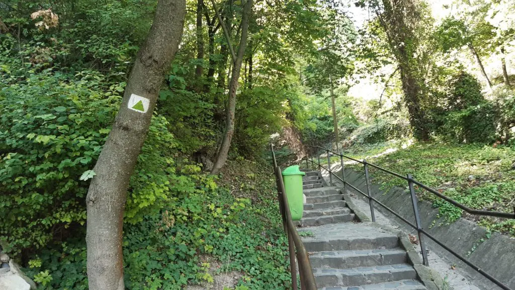 Zöldmáli delta, ahol a természet és a város találkozik – Könnyed kirándulás Budapesten