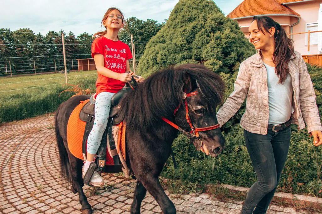 Egzotikus kirándulás Győr mellett: szafari túra a Kimba Elefántparkban