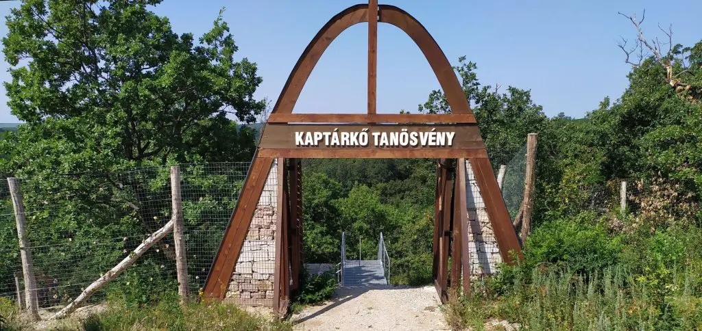Isten tenyeréről a „Kilátók királynőjéig” ‒ 2023-as bakancslista természetjáróknak