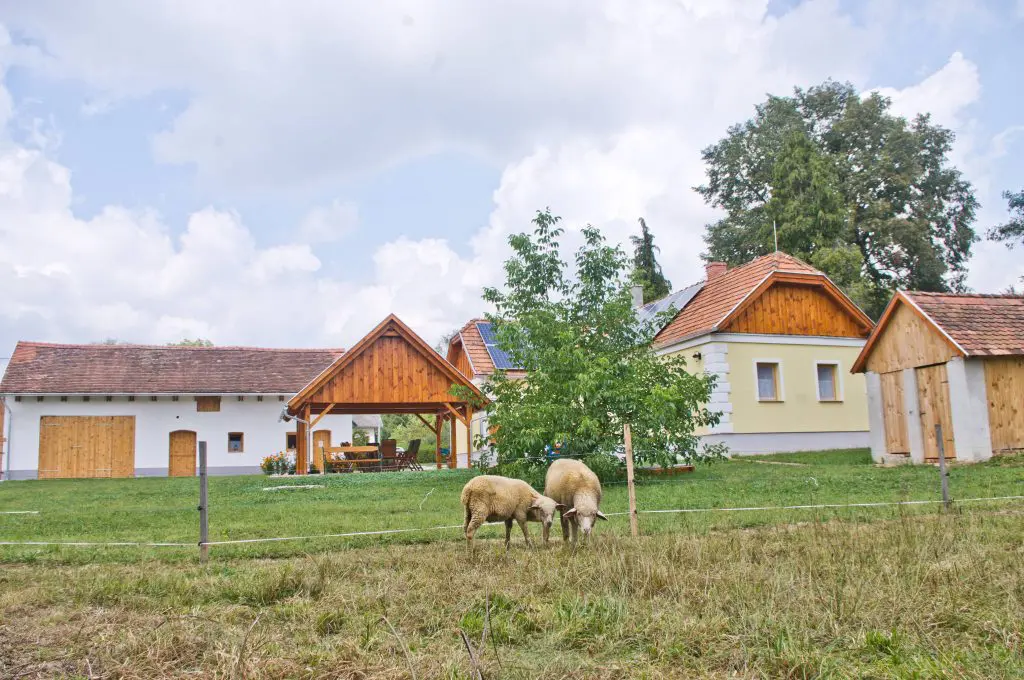 50 őrségi faház és természetközeli szállás a tökéletes pihenéshez