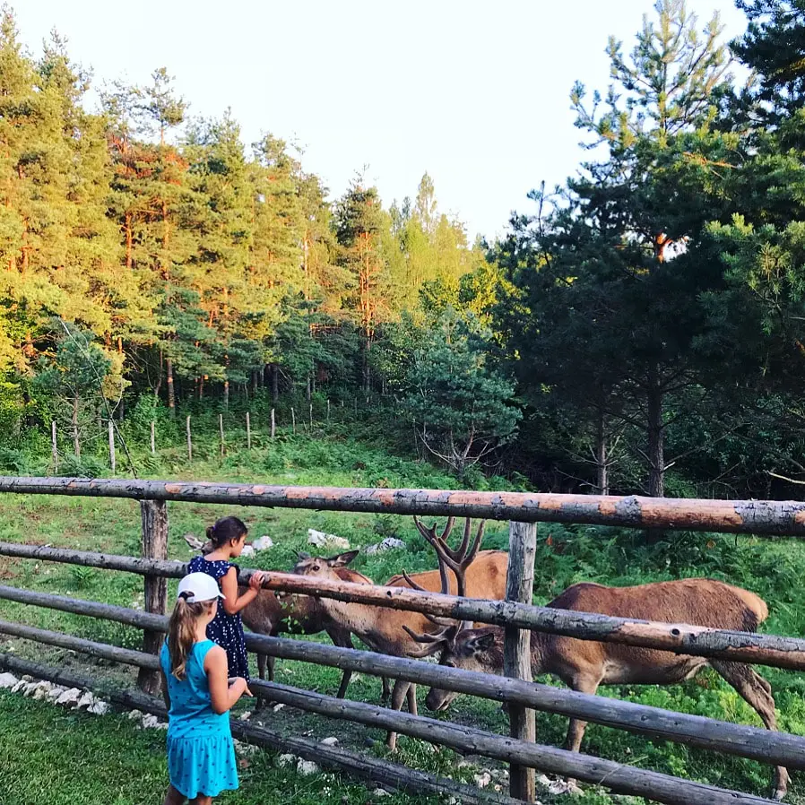 Így készülj Horvátországba – egy horvát tuti tippjei, amiket érdemes megfogadnod