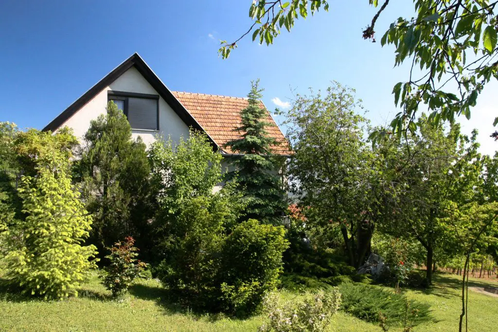 TOP 20 csodakertes apartman - madárcsicsergés, virágillat és a nyugalom garantált