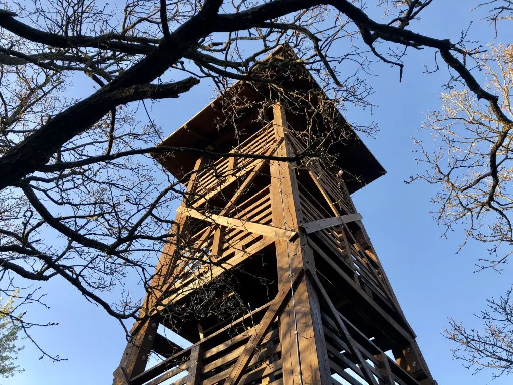Tanösvények a Balaton körül ‒ túra Az arany emberhez és a magyar Stonehengehez 
