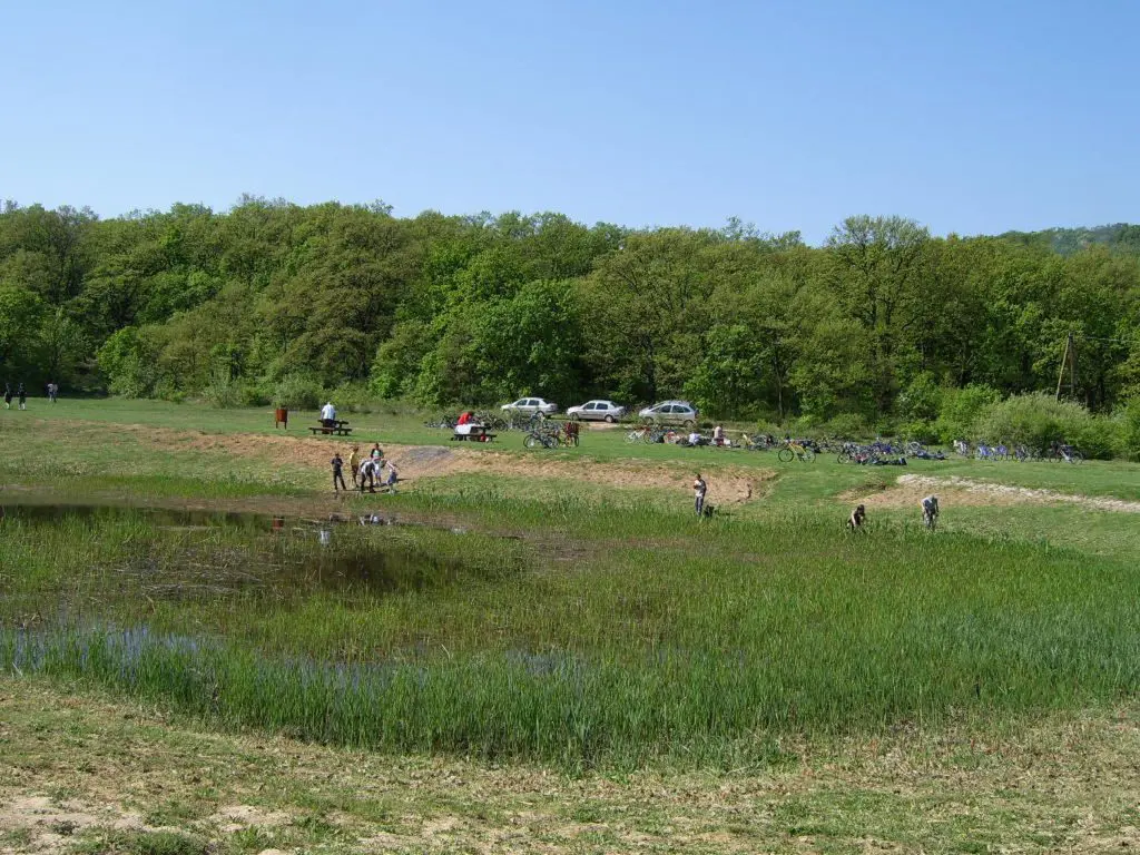 Tanösvények a Balaton körül ‒ túra Az arany emberhez és a magyar Stonehengehez 
