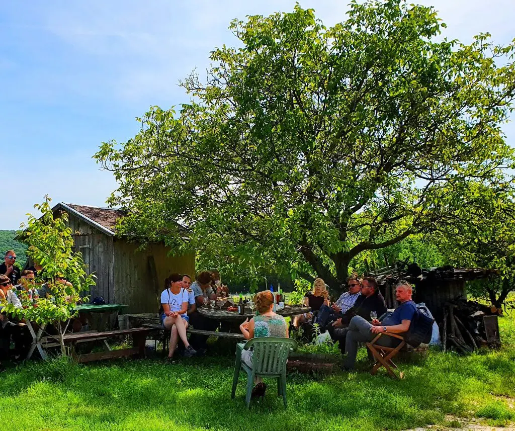 Tanösvények a Balaton körül ‒ túra Az arany emberhez és a magyar Stonehengehez 