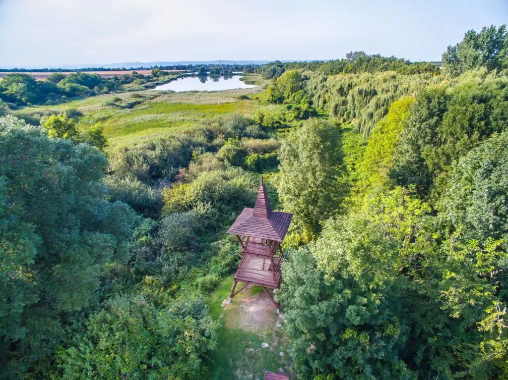 Tanösvények a Balaton körül ‒ túra Az arany emberhez és a magyar Stonehengehez 