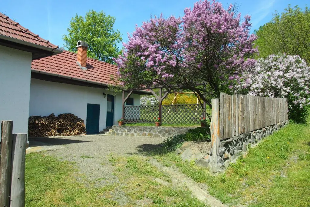 TOP 15 erdei búvóhely tavaszi kirándulásokhoz