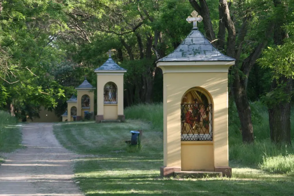 Mesetó Sződligeten és erdei könyvtár Szentendre felett ‒ a Dunakanyar titkos kirándulóhelyei