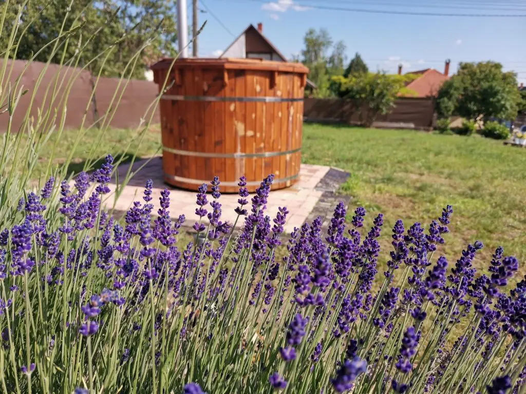TOP 20 szállás a Velencei-tó partján - káprázatos apartmanok, ahonnan haza sem akartok menni