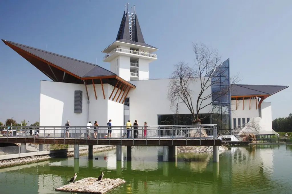 Vízben álló kilátótorony és kenguru-simogatás ‒ a Tisza-tónál szerzett élmények nem lesznek tiszavirág életűek!