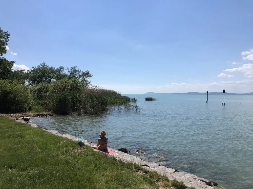 Ezekre figyelj oda, ha kutyával utazol nyaralni – kutyás strand- és szállás tippekkel