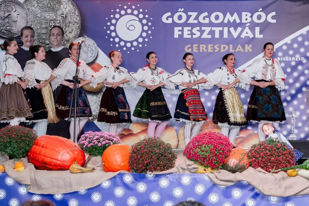 50+ őszi program
