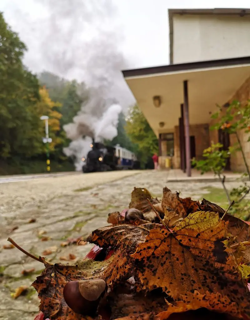 25+ budapesti program őszre