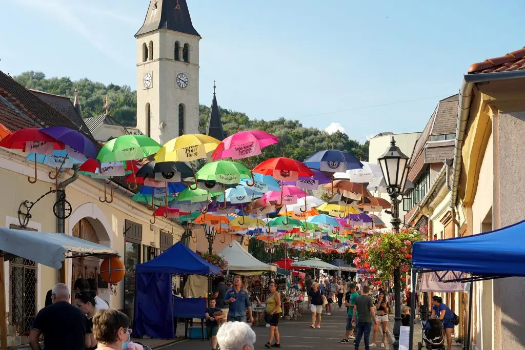 50+ őszi program
