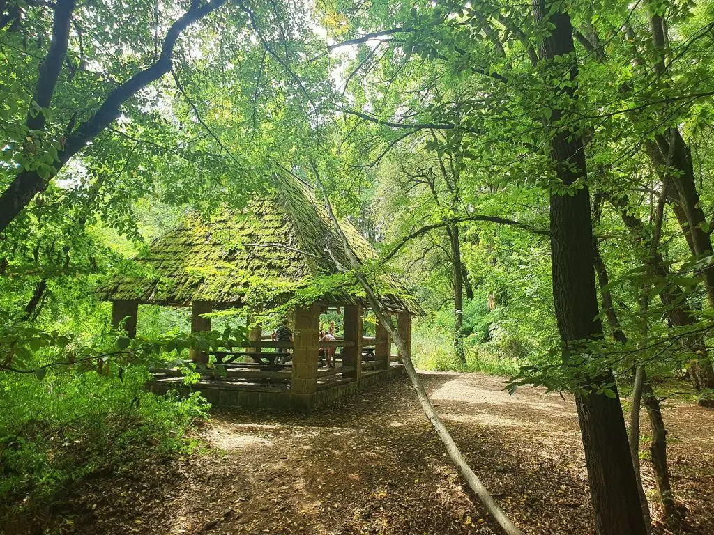 Top 10 hotel természetközelben az őszre