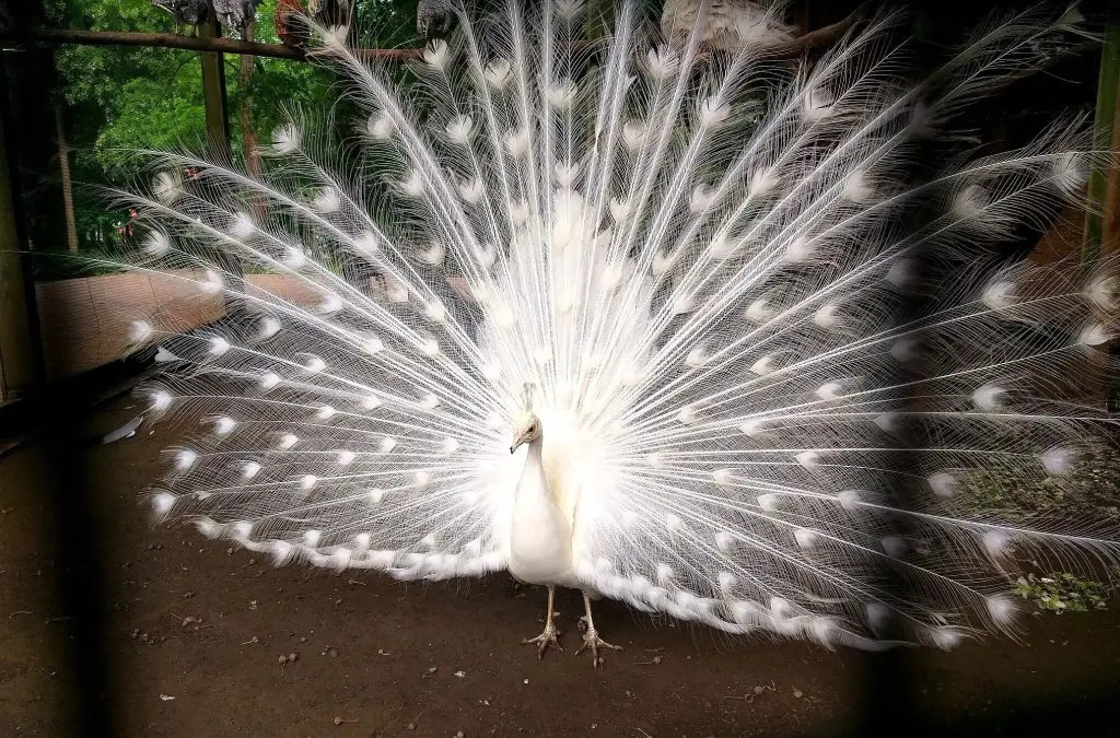 Kastélyok, kilátók és romantikus városnézések - Randi tippek Valentin-napra