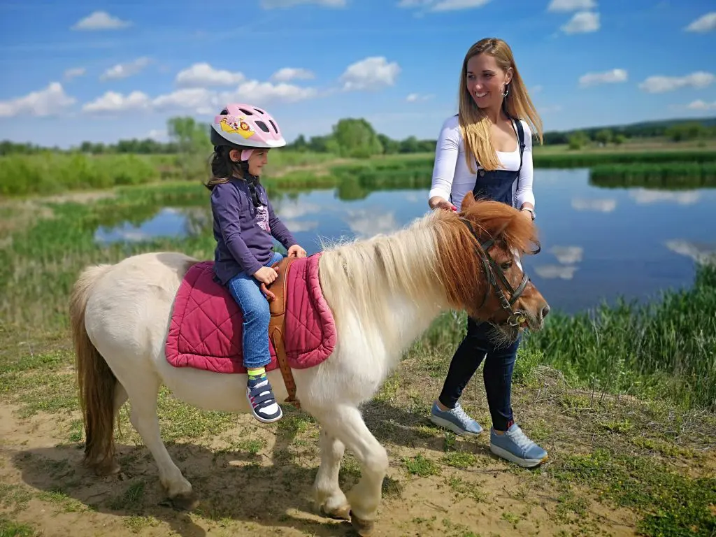 Magyarországi állatkert gyűjtemény - "Állati jó" helyek