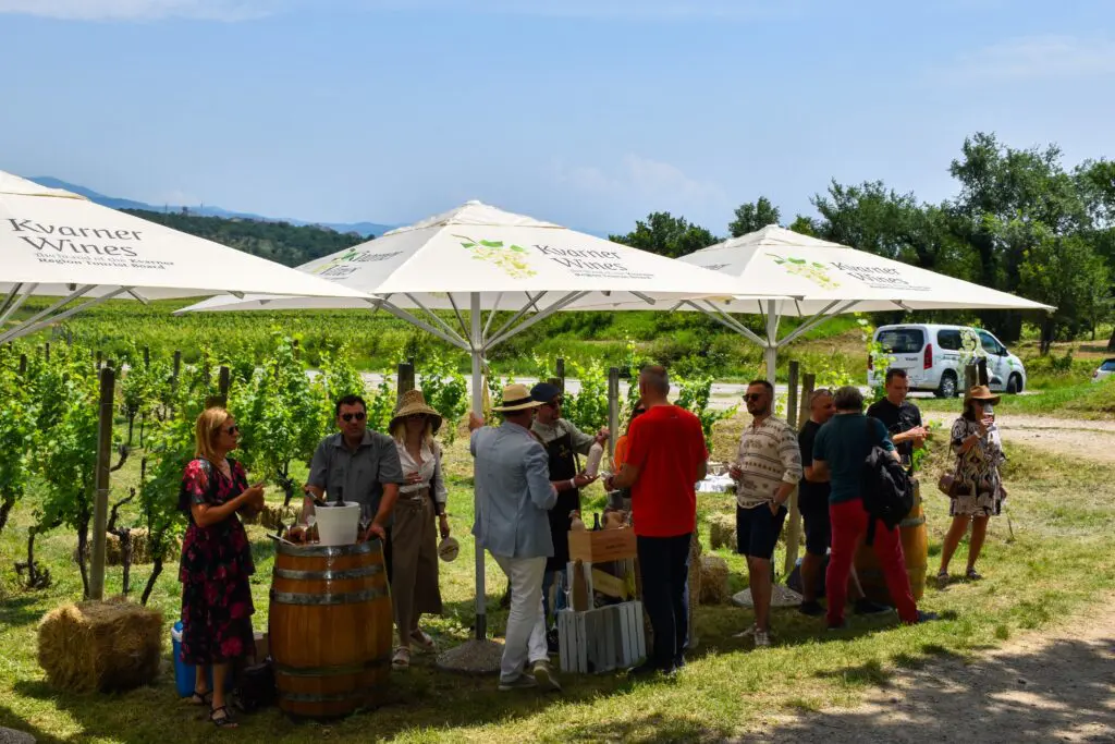 Novi Vinodolski – TOP programok a gyönyörű panorámák, a jó bor, és a kristálytiszta víz városában
