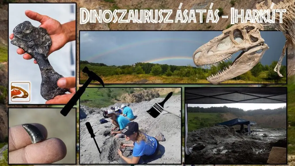 ŐSLÉNY körút – Az Iharkúti dinoszaurusz-lelőhelytől a Biodómon át a DinoPark KÖKI-ig